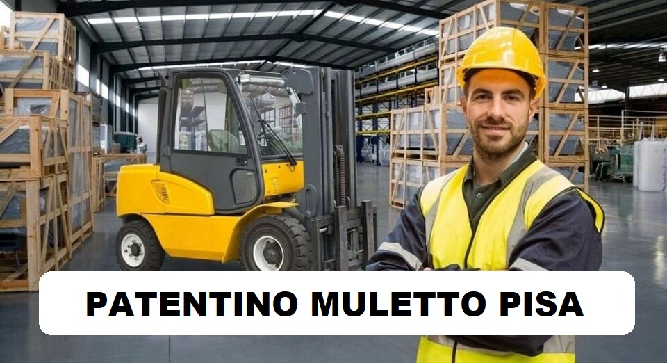 Patentino Muletto Pisa